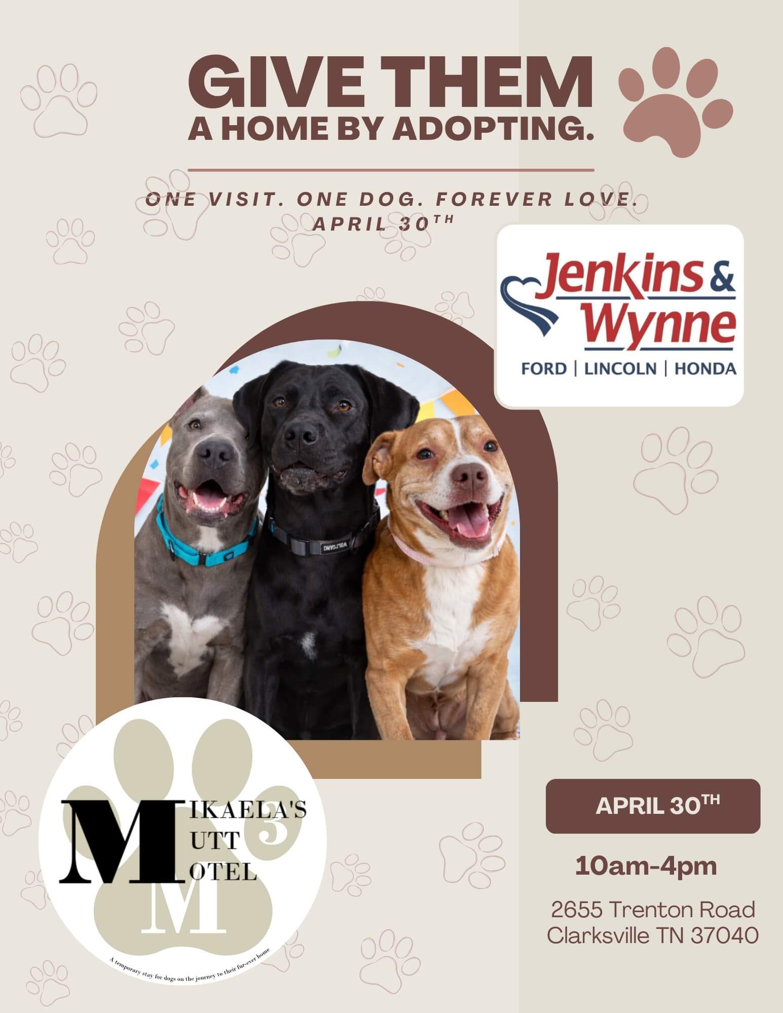 Pet Adoption Day